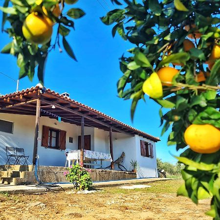 Anastasios House Apartment Koróni Екстериор снимка
