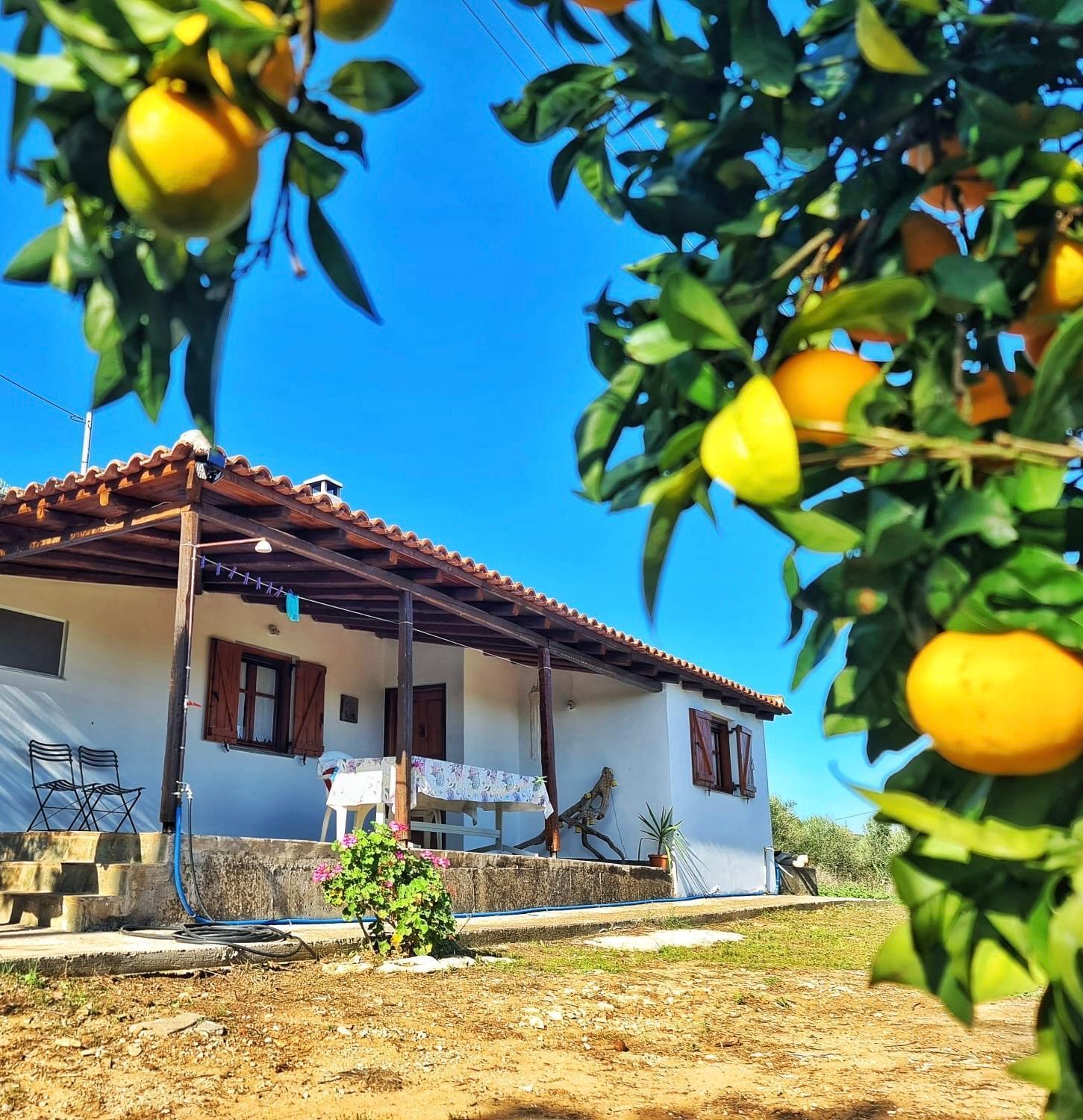 Anastasios House Apartment Koróni Екстериор снимка